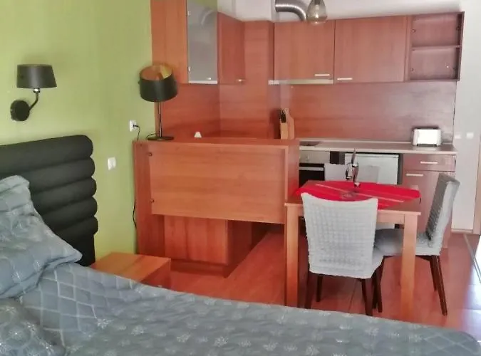 Pirin Place 3* Banszko